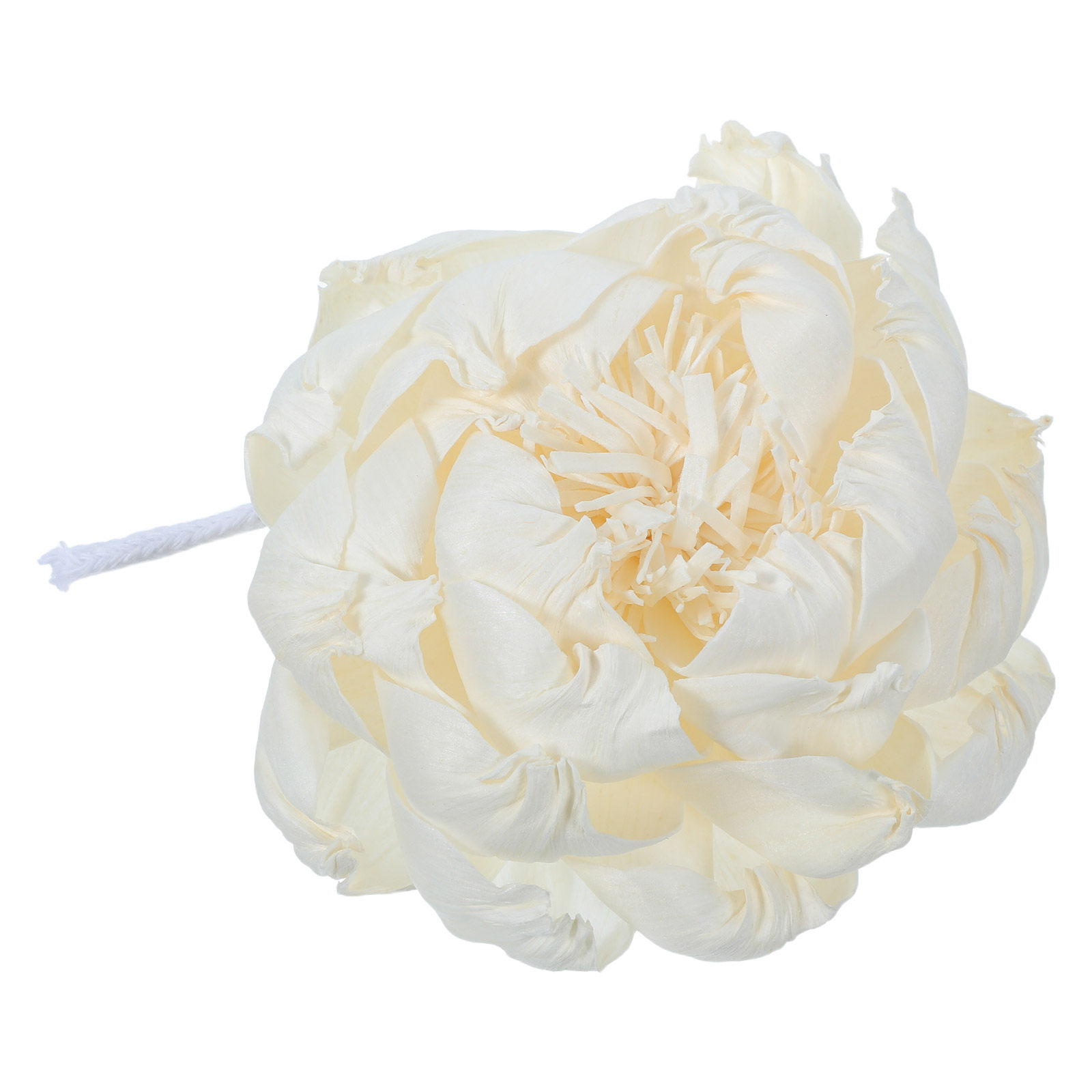 모란꽃 향 디퓨저 12cm 인조 모란꽃 향기로운 장식용 - Home Fragrance Flowers 리뷰 및 가격