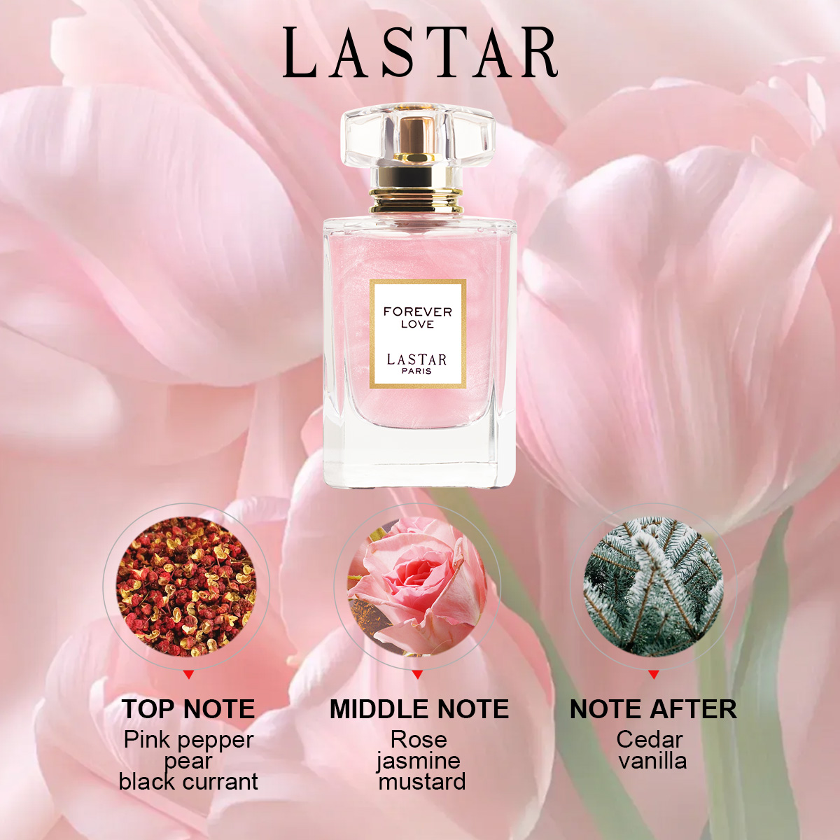 새해/크리스마스 선물, 라스타 여성용 향수, 1.86F - Home Fragrance Zara 리뷰 및 가격